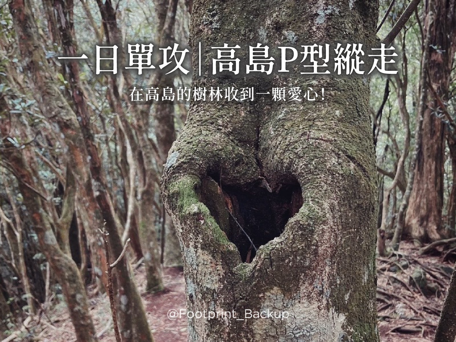 一日單攻|高島P型縱走