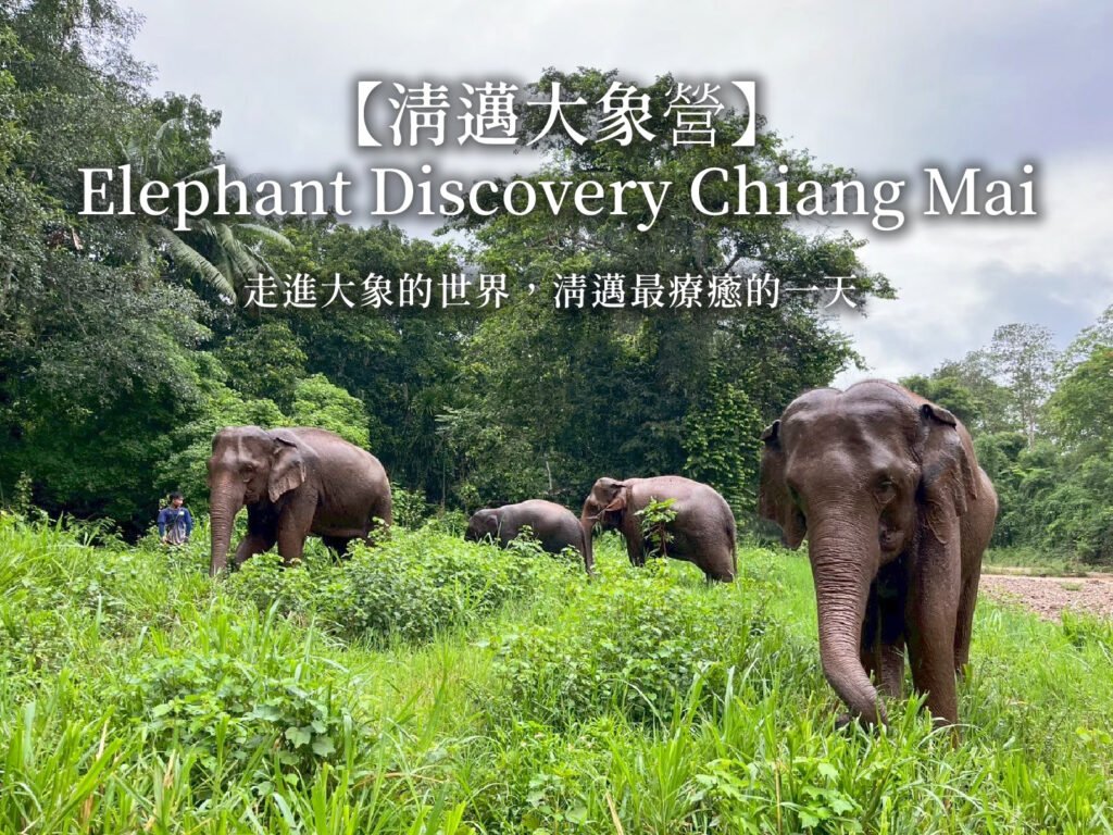 CoverPhoto_Elephant-Discovery-Chiang-Mai-FootprrintBackup.jpg